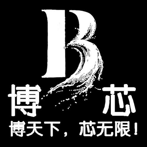 洞察科技脉搏，赋能企业未来——山东博芯信息科技信息咨询服务解析